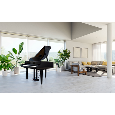 Yamaha Clavinova CLP-895GP (Polished Ebony) in the living room