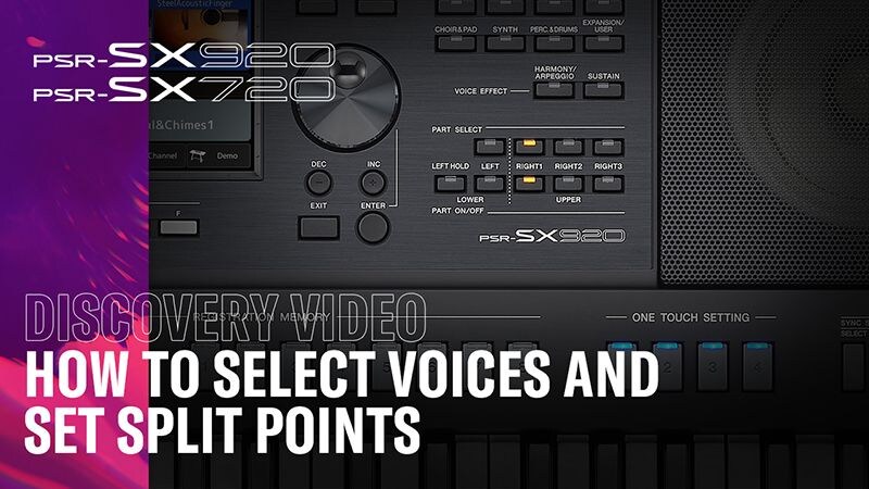 How to select Voices and set split points