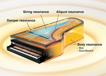 CLP-675 - Overview - Clavinova - Products - Pianos - Yamaha - India