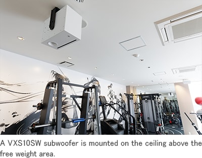 Why did you decide to include a subwoofer?
