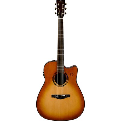 TransAcoustic guitar TAG3 C SDB