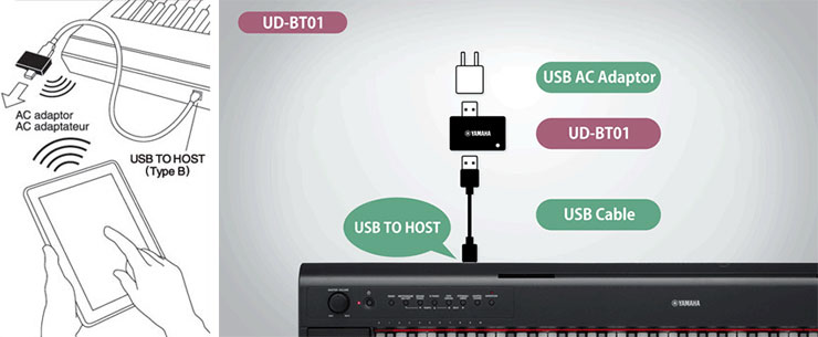 ヤマハ YAMAHA ワイヤレスMIDIアダプター UD-BT01 ggw725x UD-BT01 - Overview - Accessories - Products - Pianos - Yamaha - India