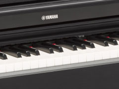 YDP-163 - Overview - ARIUS - Products - Pianos - Yamaha - India