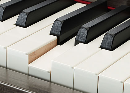 CLP-645 - Overview - Clavinova - Products - Pianos - Yamaha - India