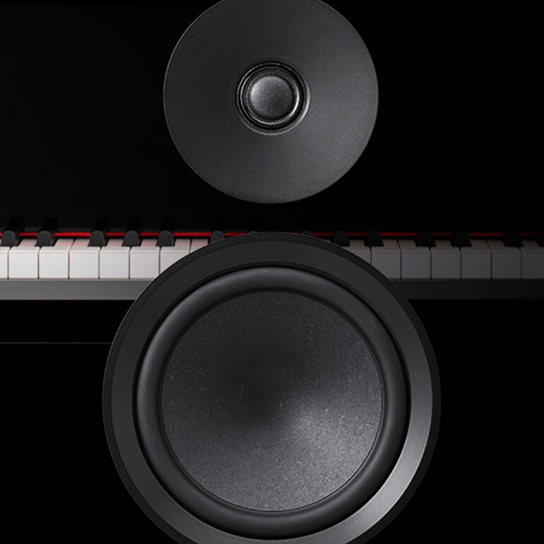 NS-800A - Overview - Speakers - Products - Home Audio - Yamaha - India
