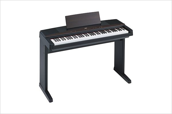 YPP-45