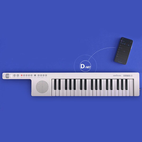 SHS-300 - Overview - Portable Keyboards - Products