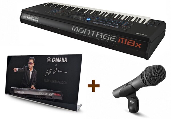Montage M Synthesizer + Mic + Panel