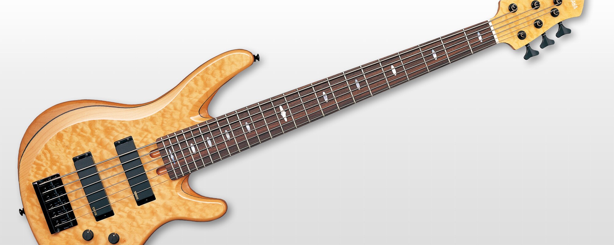 TRB - Overview - Electric Basses - Products - Guitars, Basses