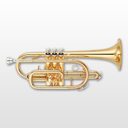 Cornets - Products - Brass & Woodwinds - Yamaha - India
